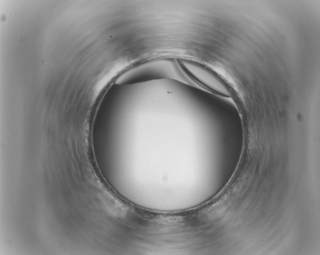 X0000089421325200706291023