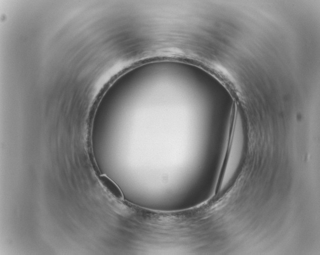 X0000089421326200706291023