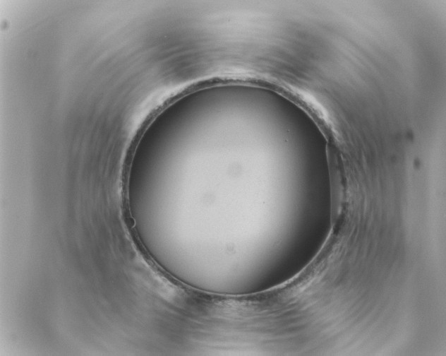 X0000089421327200706291023