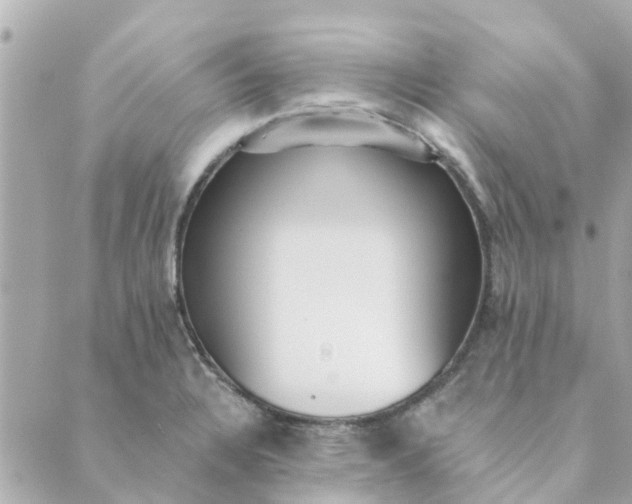 X0000089421328200706291023