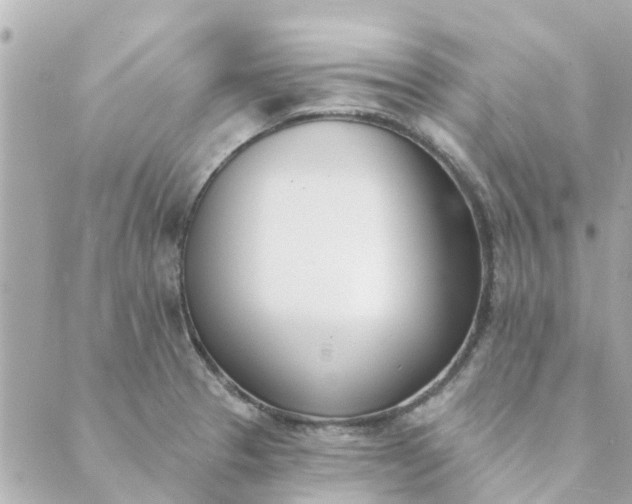 X0000089421329200706291023