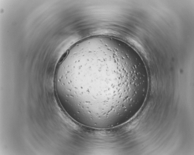 X0000089421330200706291023