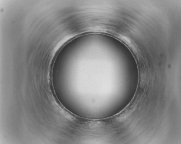 X0000089421331200706291023