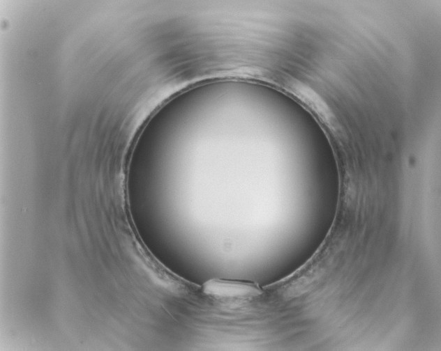 X0000089421332200706291023