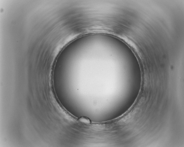 X0000089421333200706291023