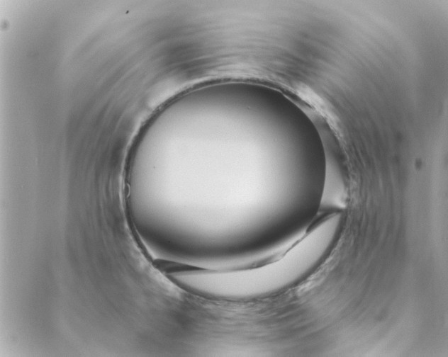 X0000089421334200706291023