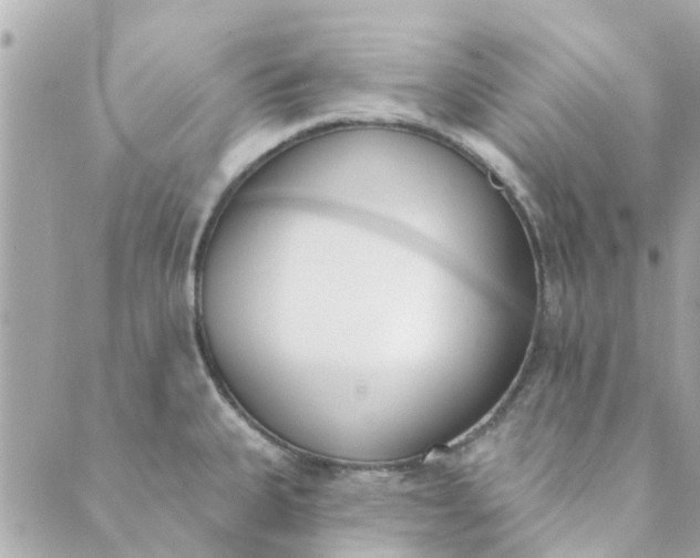 X0000089421335200706291023