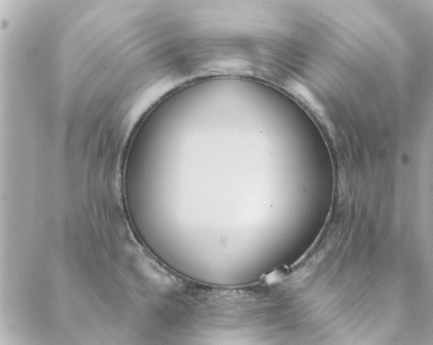 X0000089421336200706291023