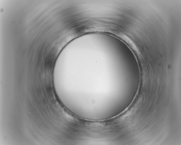 X0000089421337200706291023