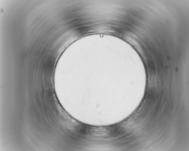 X0000089421338200706291023