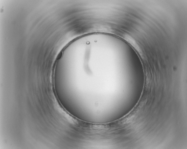 X0000089421339200706291023