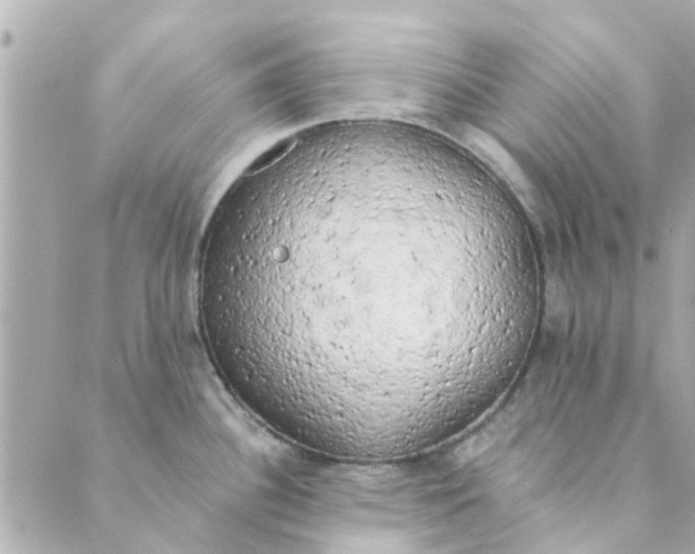 X0000089421340200706291023