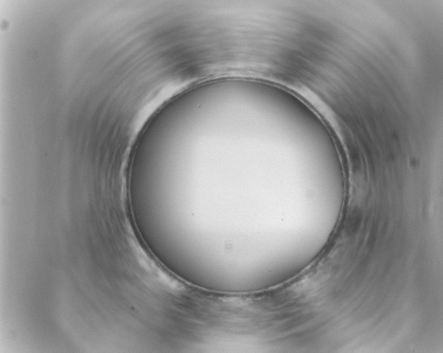 X0000089421341200706291023