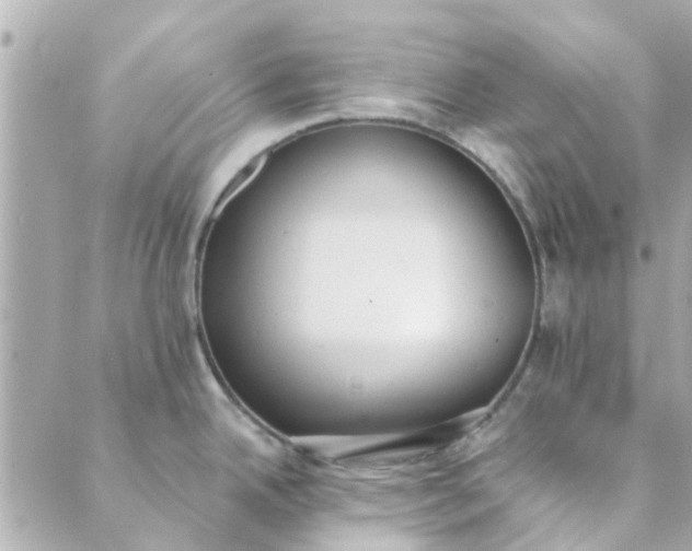 X0000089421342200706291023