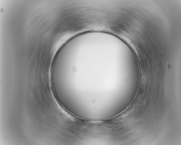 X0000089421343200706291023