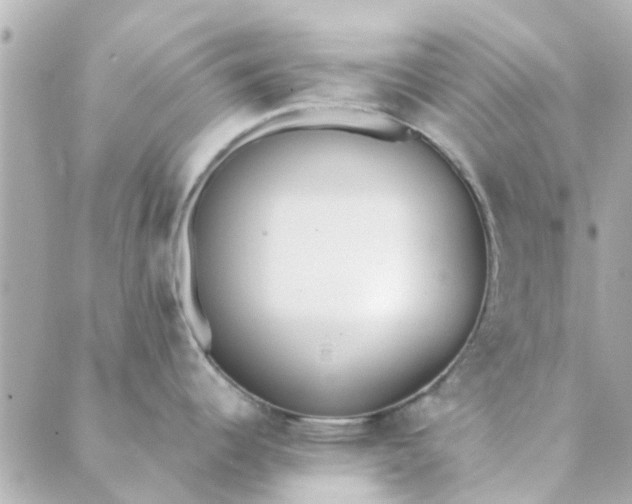 X0000089421344200706291023