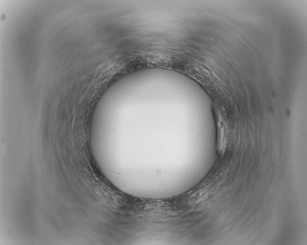 X0000089421345200706291023