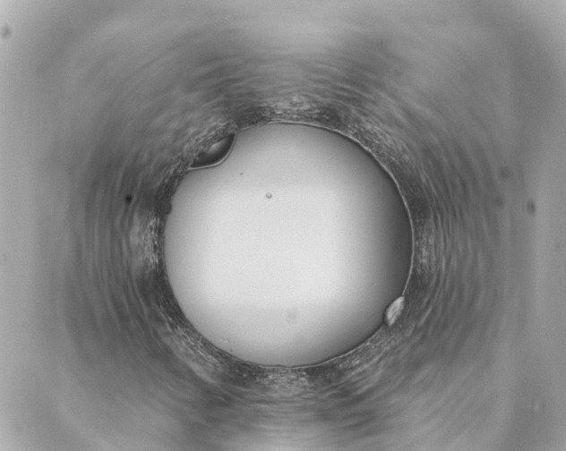 X0000089421346200706291023