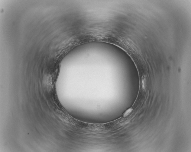 X0000089421347200706291023