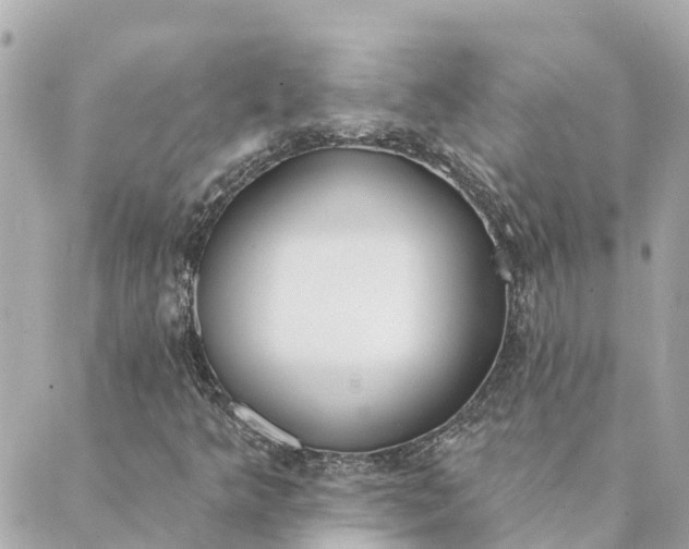 X0000089421349200706291022