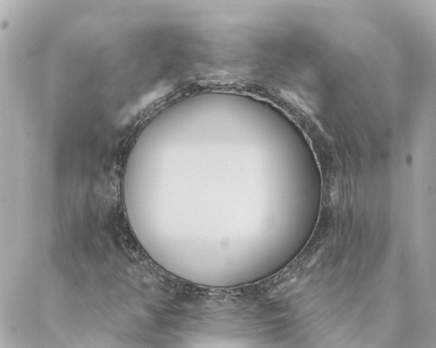 X0000089421350200706291022