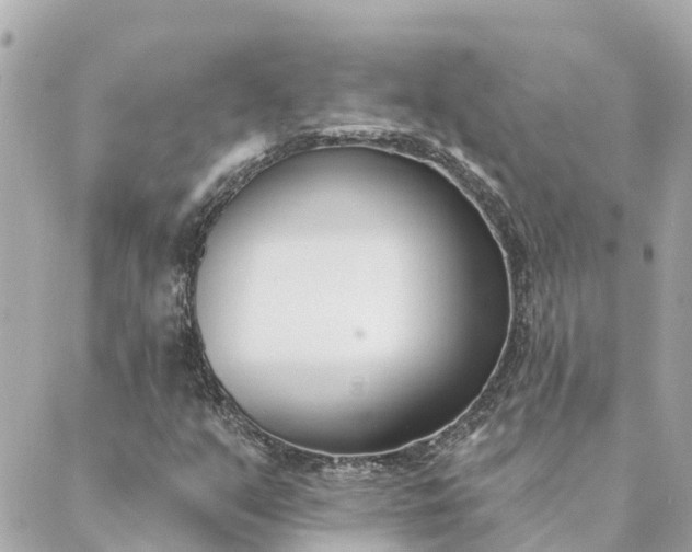 X0000089421351200706291022