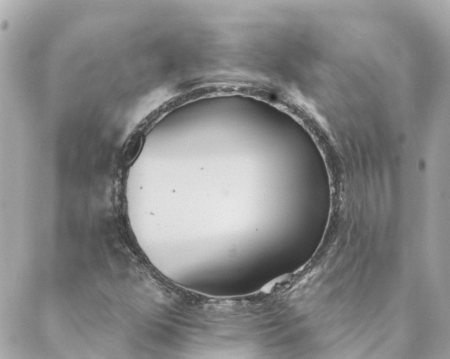 X0000089421352200706291022