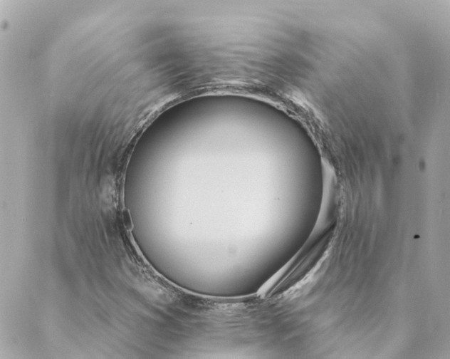 X0000089421353200706291022