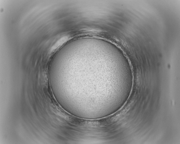 X0000089421354200706291022