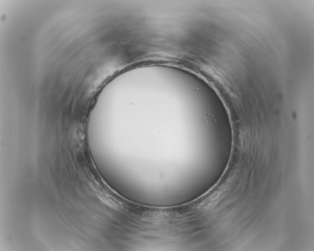 X0000089421355200706291022