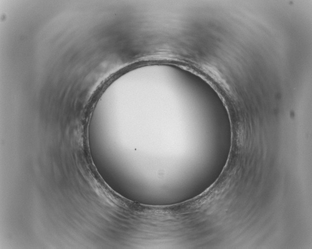 X0000089421356200706291022