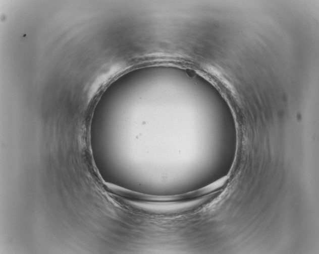 X0000089421357200706291022