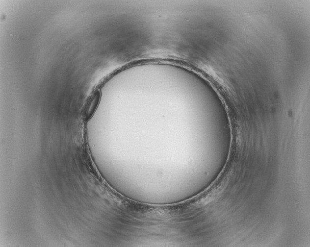 X0000089421358200706291022