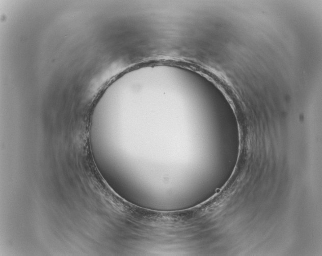 X0000089421359200706291022