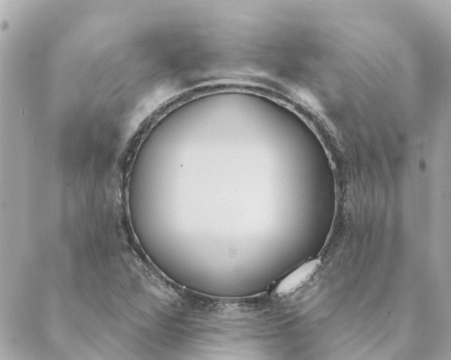 X0000089421360200706291022