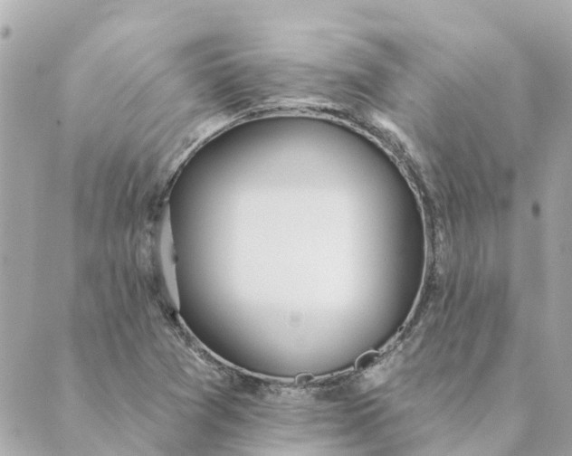 X0000089421361200706291022