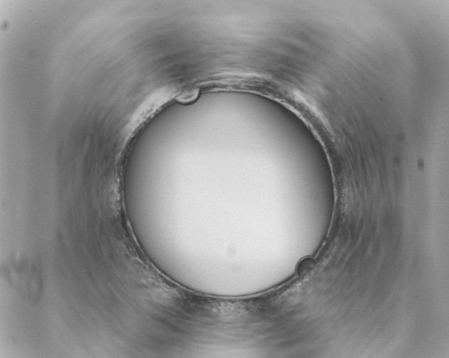 X0000089421362200706291022