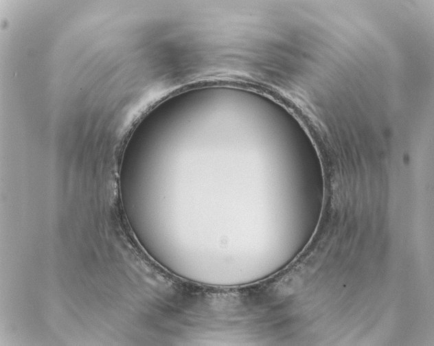 X0000089421363200706291022