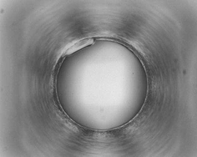 X0000089421364200706291022