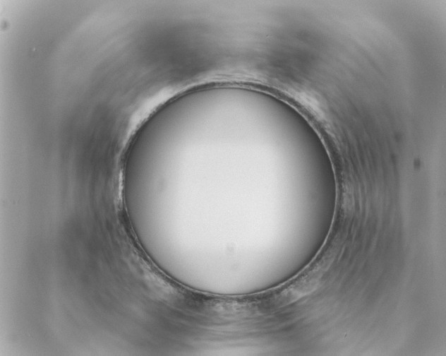 X0000089421366200706291022