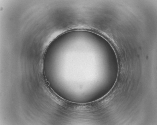 X0000089421367200706291022