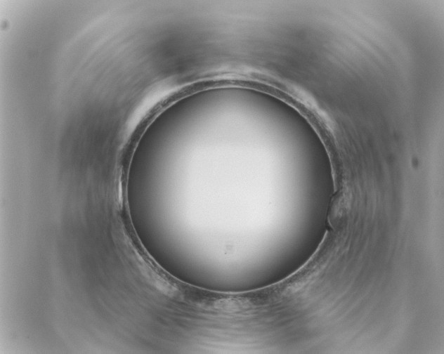 X0000089421368200706291022