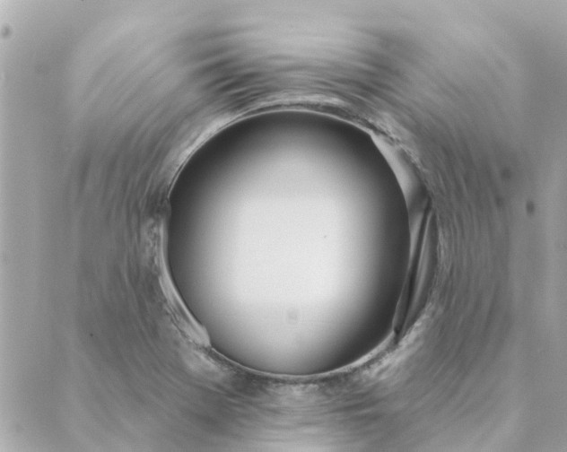 X0000089421369200706291022