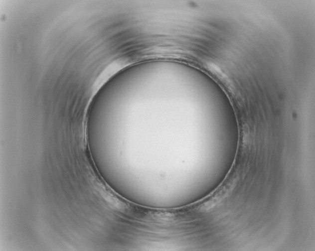 X0000089421370200706291022