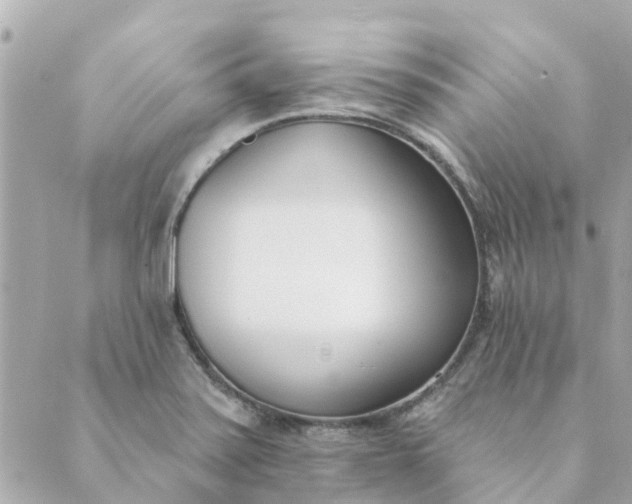 X0000089421371200706291022