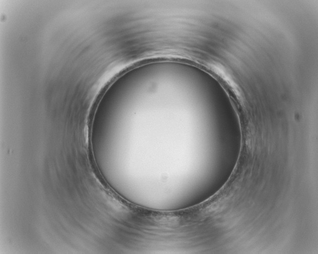 X0000089421372200706291022