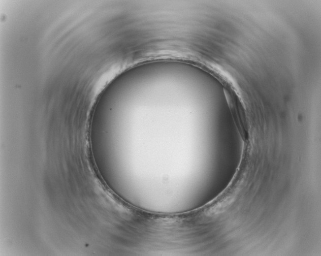 X0000089421373200706291022