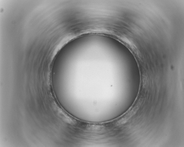 X0000089421374200706291022