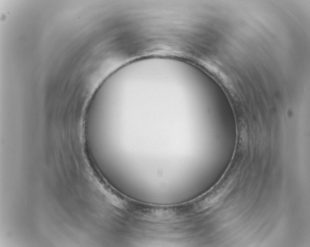 X0000089421375200706291022