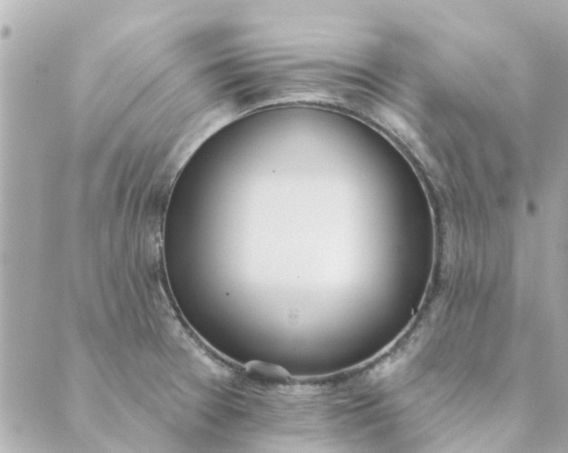 X0000089421377200706291022